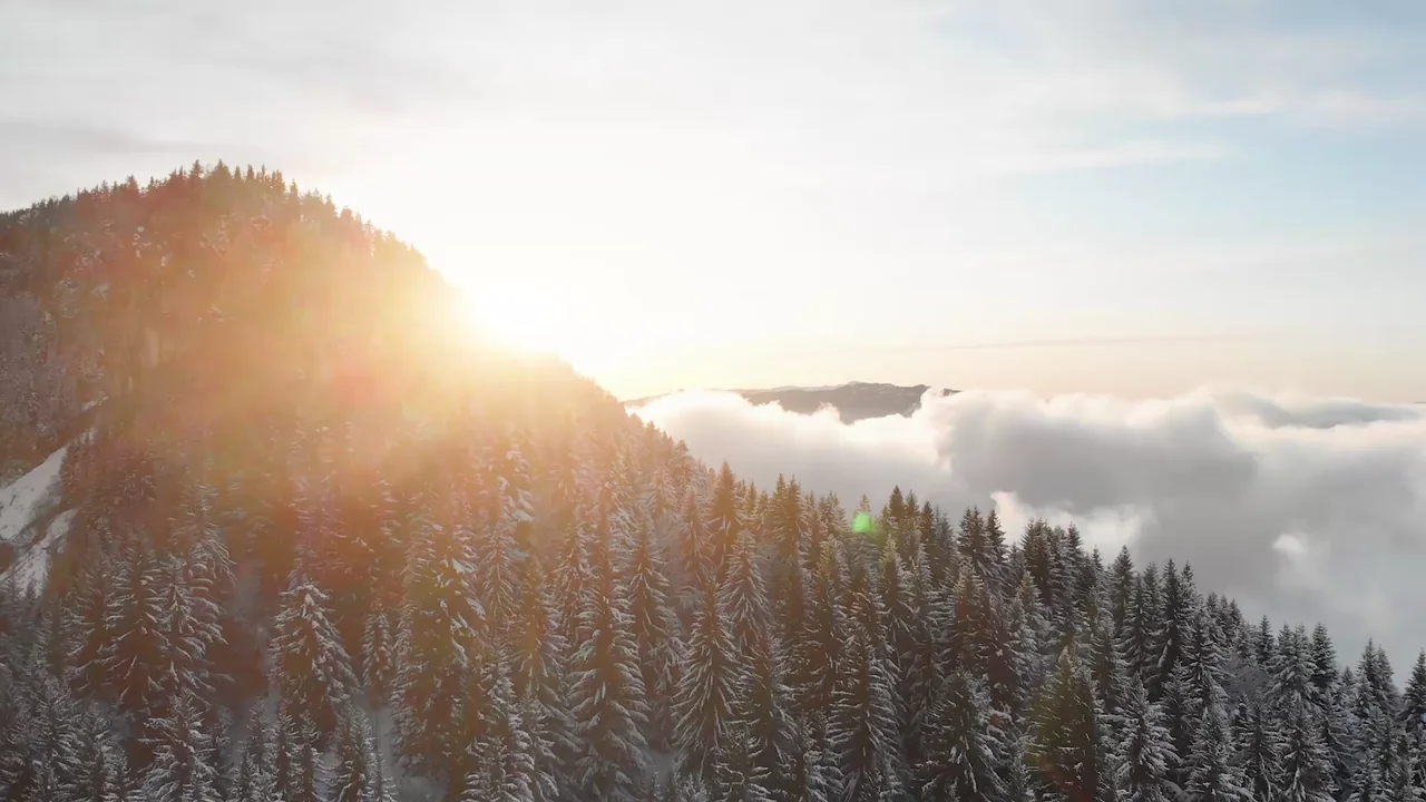 Sunrise over snow-covered mountain peaks and a forest above low clouds.